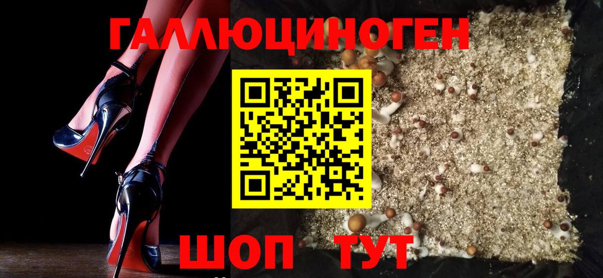 Заводоуковск  Галлюциногенные грибы Magic Shrooms  Вход с VPN 